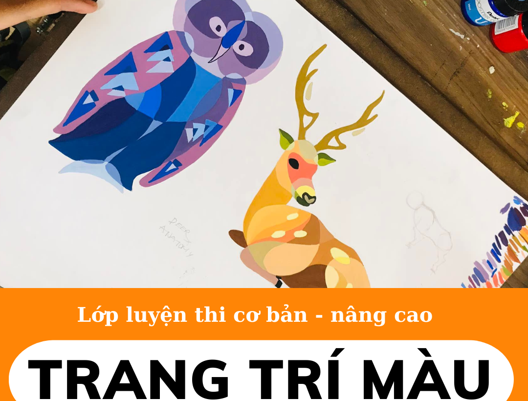 LUYỆN THI TRANG TRÍ MÀU